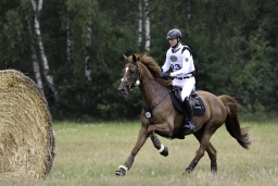 luhmuehlen-06-2020-cci3s-577