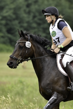 luhmuehlen-06-2020-cci3s-601