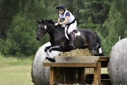 luhmuehlen-06-2020-cci3s-602