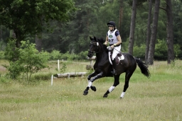 luhmuehlen-06-2020-cci3s-603