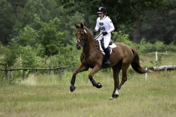 luhmuehlen-06-2020-cci3s-613