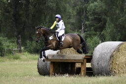 luhmuehlen-06-2020-cci3s-619