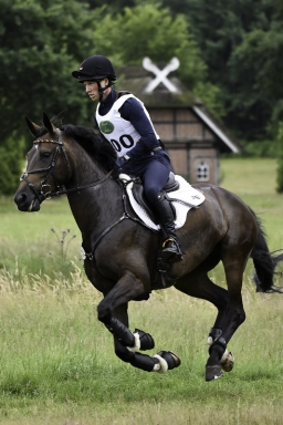 luhmuehlen-06-2020-cci3s-626