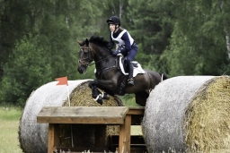 luhmuehlen-06-2020-cci3s-627