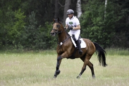 luhmuehlen-06-2020-cci3s-632