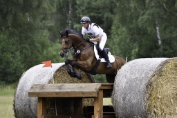 luhmuehlen-06-2020-cci3s-633