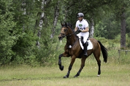 luhmuehlen-06-2020-cci3s-634