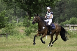 luhmuehlen-06-2020-cci3s-650