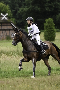 luhmuehlen-06-2020-cci3s-667