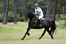 luhmuehlen-06-2020-cci3s-674
