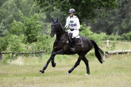 luhmuehlen-06-2020-cci3s-676