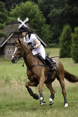 luhmuehlen-06-2020-cci3s-680