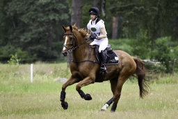 luhmuehlen-06-2020-cci3s-685