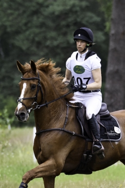 luhmuehlen-06-2020-cci3s-686