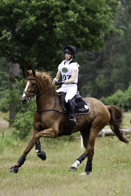 luhmuehlen-06-2020-cci3s-687