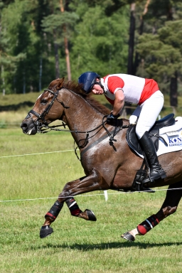 luhmuehlen-2021-cci5-8