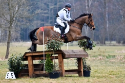 luhmuhlen-cci3-2022-003