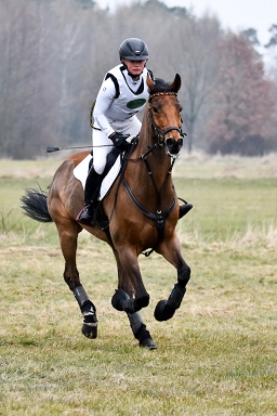 luhmuhlen-cci3-2022-005