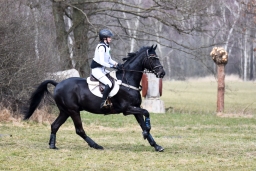luhmuhlen-cci3-2022-054
