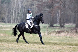 luhmuhlen-cci3-2022-056