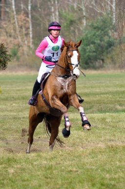 luhmuhlen-cci3-2022-061