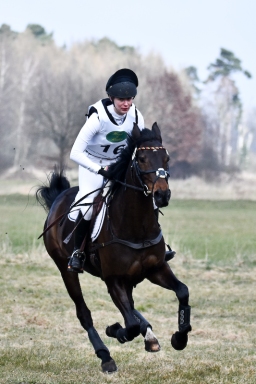 luhmuhlen-cci3-2022-072