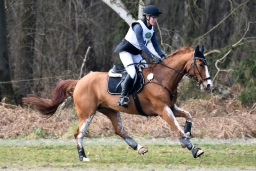 luhmuhlen-cci3-2022-081