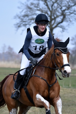 luhmuhlen-cci3-2022-085