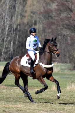 luhmuhlen-cci3-2022-189