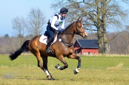 luhmuhlen-cci3-2022-226