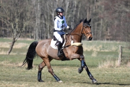 luhmuhlen-cci3-2022-228