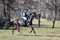 luhmuhlen-cci3-2022-291