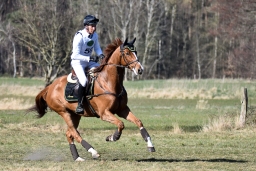 luhmuhlen-cci3-2022-310