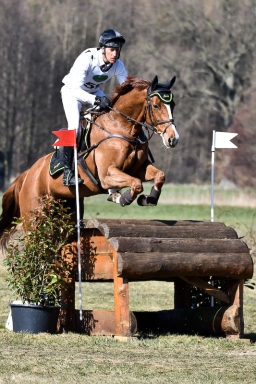 luhmuhlen-cci3-2022-311