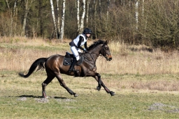 luhmuhlen-cci3-2022-353