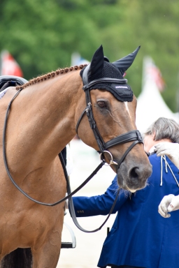 luhmuehlen-06-2024-freitag-071