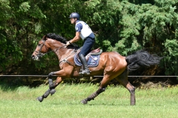 luhmuehlen-06-2024-xc4-057