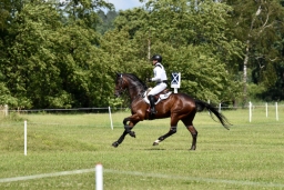 luhmuehlen-06-2024-xc4-339