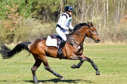 2025-luhm-3-maerz-026