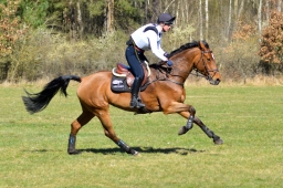 2025-luhm-3-maerz-035