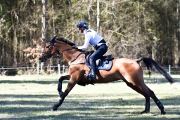 2025-luhm-3-maerz-039