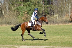 2025-luhm-3-maerz-052