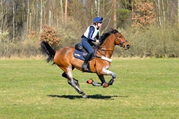 2025-luhm-3-maerz-088