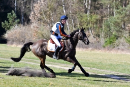 2025-luhm-3-maerz-105