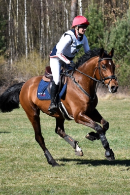 2025-luhm-3-maerz-120