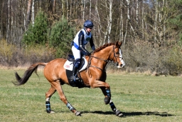 2025-luhm-3-maerz-124