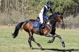 2025-luhm-3-maerz-126