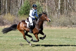 2025-luhm-3-maerz-129