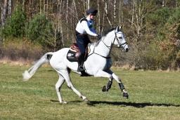 2025-luhm-3-maerz-138