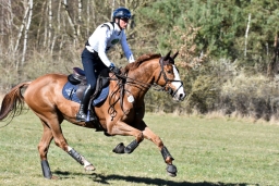 2025-luhm-3-maerz-142